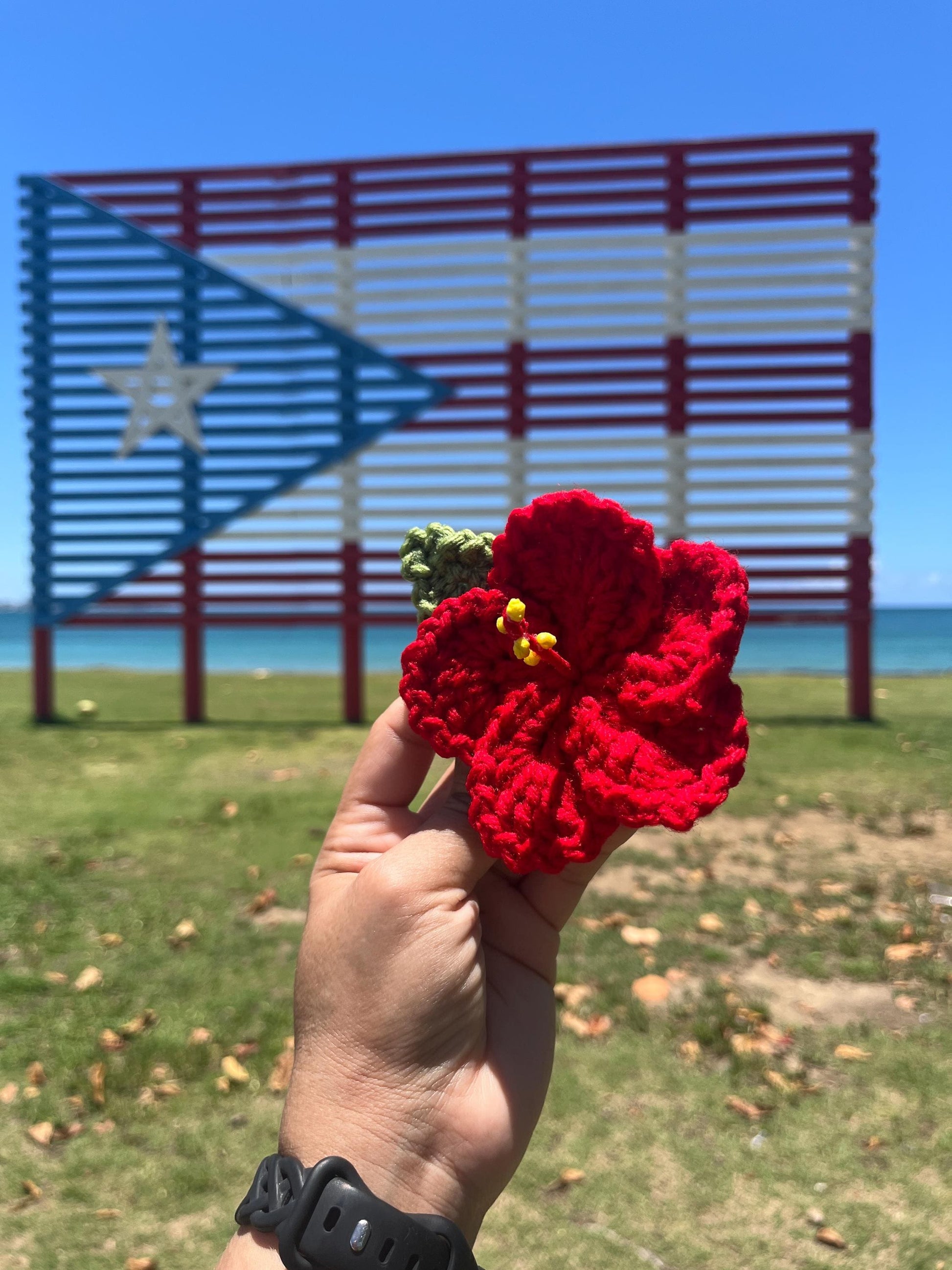 Flor de Maga Claw Clip